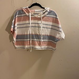 Hot and Delicious cropped hoodie